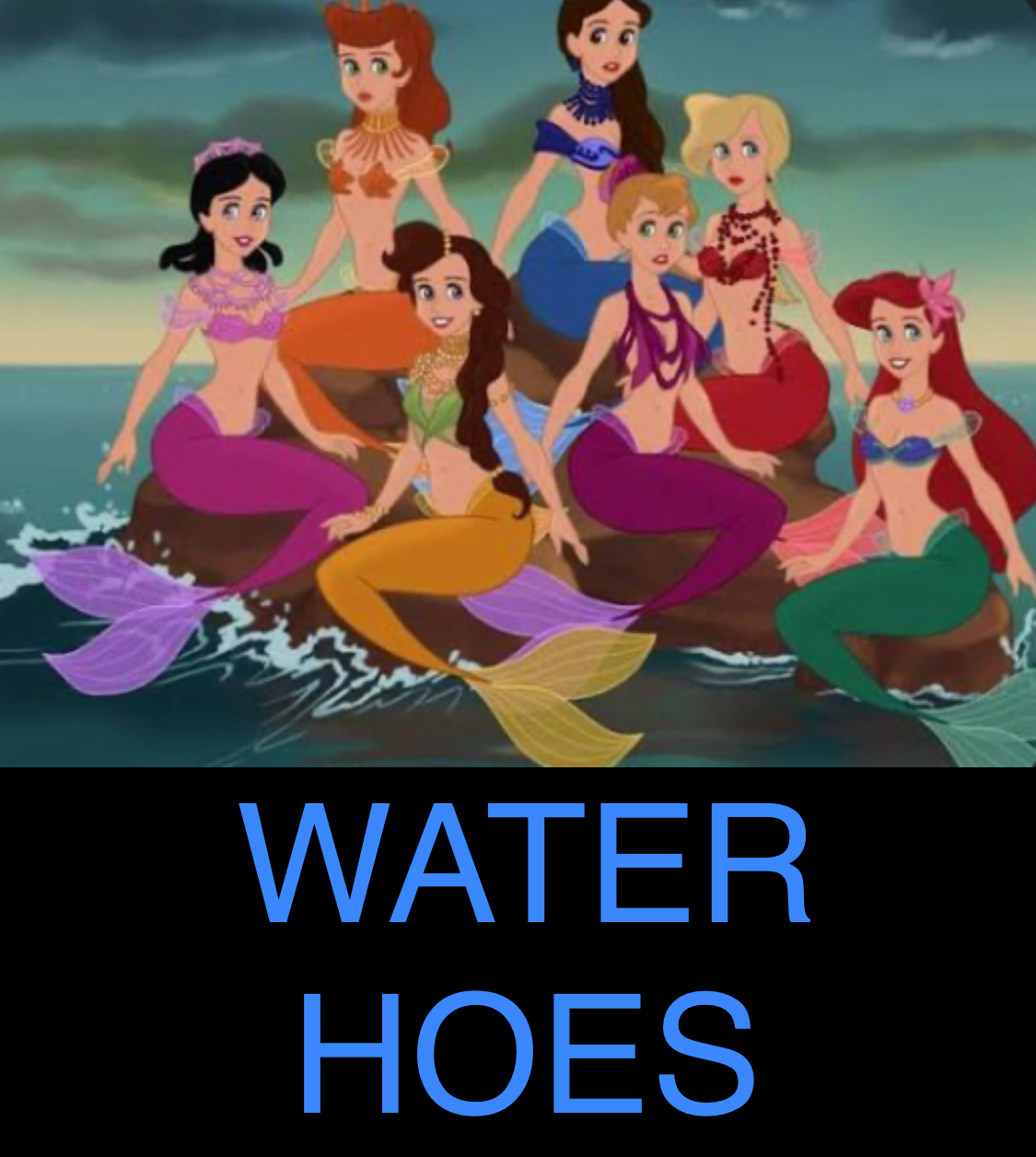 Water Hoes Blank Meme Template