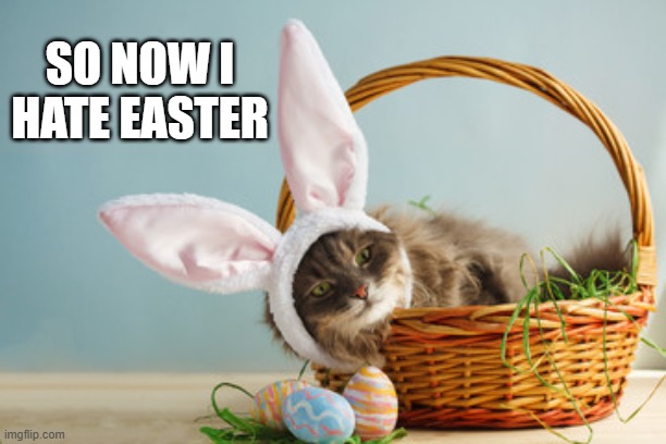 Cat says "So now I hate Easter." | SO NOW I HATE EASTER | image tagged in cat,kittens,funny,humor,happy easter,bunny | made w/ Imgflip meme maker