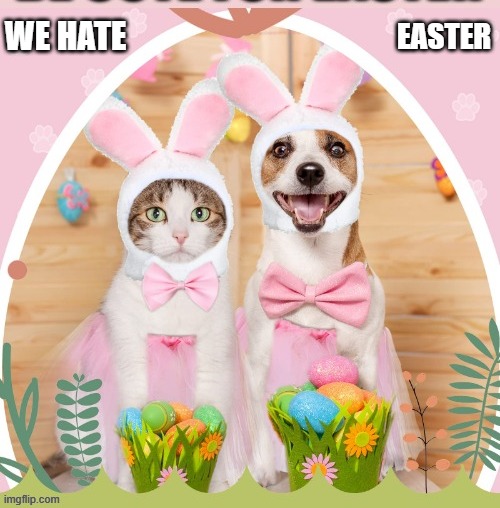Dog and cat say "We Hate Easter."    --  funny  -- | EASTER; WE HATE | image tagged in funny,humor,cat,kittens,dogs,easter | made w/ Imgflip meme maker