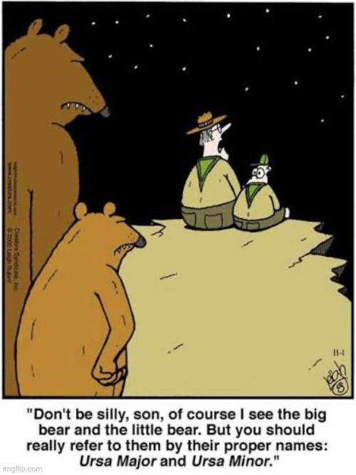 Rubes | image tagged in comics,rubes,big bear,little bear,boy scouts,angry bears | made w/ Imgflip meme maker