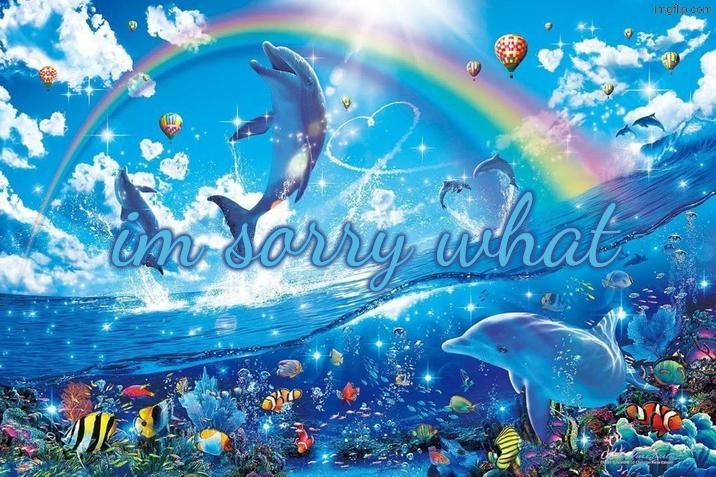 Happy dolphin rainbow | im sorry what | image tagged in happy dolphin rainbow | made w/ Imgflip meme maker