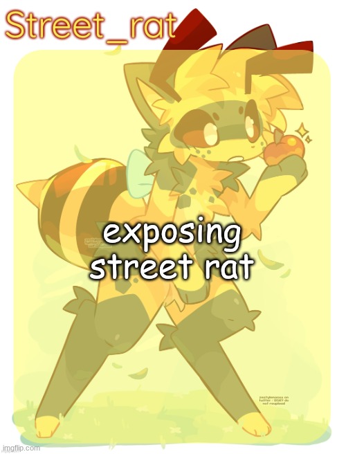 Rats beecat temp | exposing street rat | image tagged in rats beecat temp | made w/ Imgflip meme maker