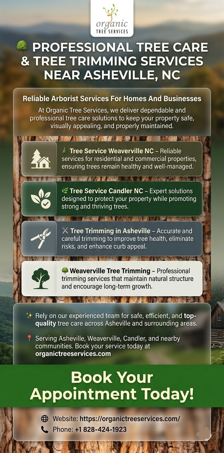Tree Service Weaverville NC Blank Meme Template