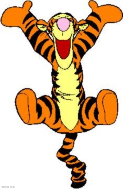 Tigger Bouncing | image tagged in tigger bouncing | made w/ Imgflip meme maker