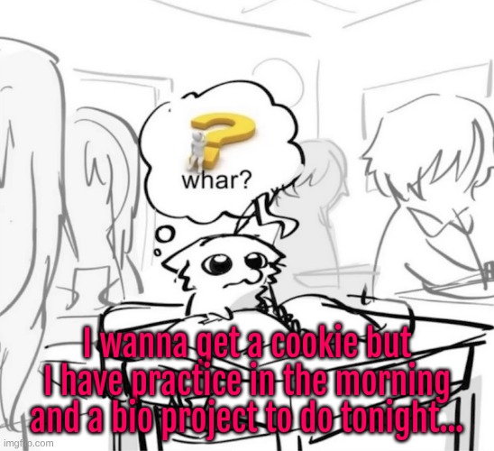 fried </3 | I wanna get a cookie but I have practice in the morning and a bio project to do tonight... | image tagged in whar | made w/ Imgflip meme maker