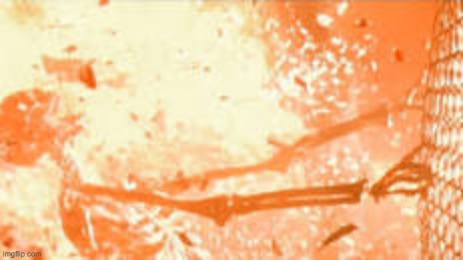 image tagged in skeleton burning behind fence | made w/ Imgflip meme maker