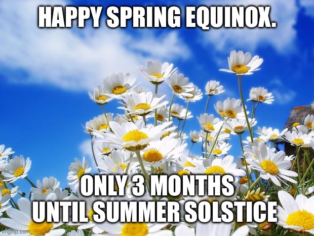 Spring Equinox | HAPPY SPRING EQUINOX. ONLY 3 MONTHS UNTIL SUMMER SOLSTICE | image tagged in spring daisy flowers | made w/ Imgflip meme maker