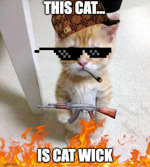CAT WICK | THIS CAT... IS CAT WICK | image tagged in memes,cute cat | made w/ Imgflip meme maker