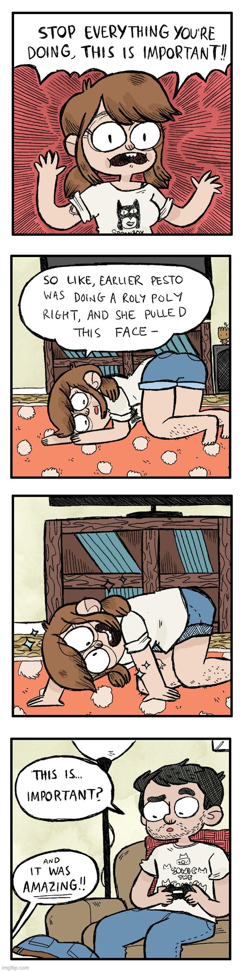 image tagged in important,cat,roly-poly,face,amazing,lol | made w/ Imgflip meme maker