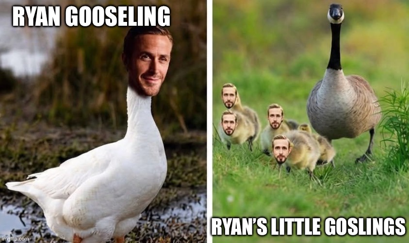 Ryan Gosling | RYAN GOOSELING; RYAN’S LITTLE GOSLINGS | image tagged in ryan gosling,bad pun,children,goose,geese,babies | made w/ Imgflip meme maker