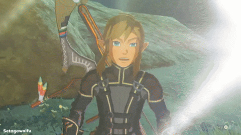 Link surprised Blank Meme Template