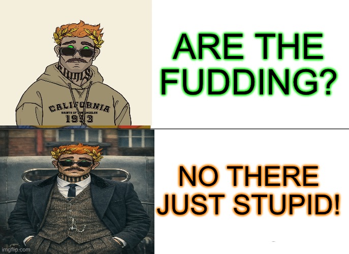 Are you fudder or just stupid | ARE THE FUDDING? NO THERE JUST STUPID! | image tagged in memes,peaky blinders,suit,sunglasses | made w/ Imgflip meme maker