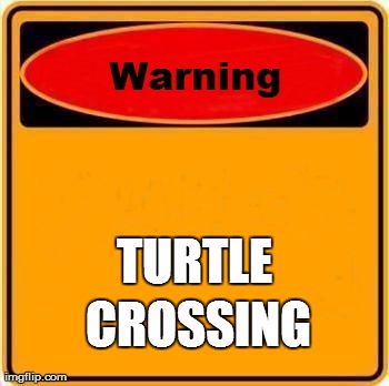 Warning Sign Meme | TURTLE  CROSSING | image tagged in memes,warning sign | made w/ Imgflip meme maker