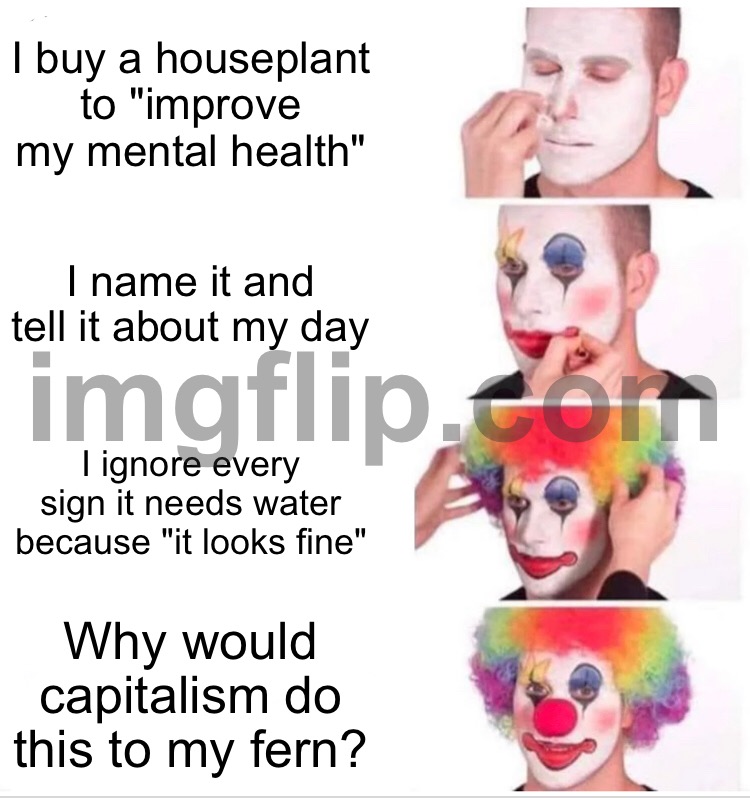 Why would capitalism do this to my fern? | I buy a houseplant to "improve my mental health"; I name it and tell it about my day; I ignore every sign it needs water because "it looks fine"; Why would capitalism do this to my fern? | image tagged in memes,clown applying makeup,capitalism,plants,name,water | made w/ Imgflip meme maker