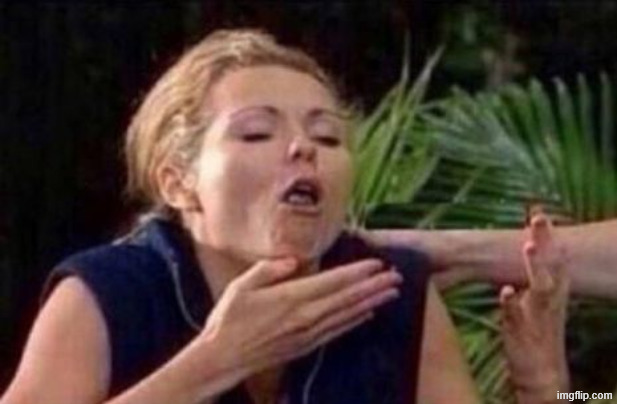 About to Puke | image tagged in about to puke | made w/ Imgflip meme maker