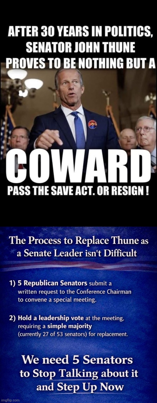Replace John Thune | image tagged in save america act,john thune,voter fraud,voter id,election fraud | made w/ Imgflip meme maker
