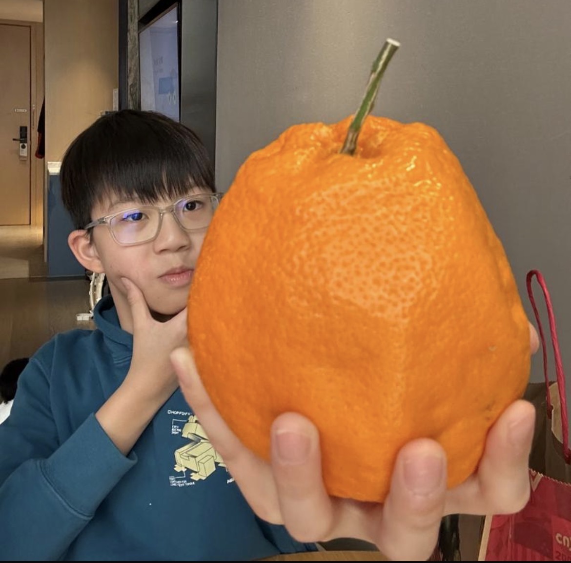 I wonder Blank Meme Template