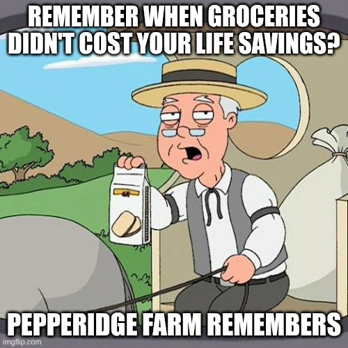 Pepperidge Farm Remembers Meme | REMEMBER WHEN GROCERIES DIDN'T COST YOUR LIFE SAVINGS? PEPPERIDGE FARM REMEMBERS | image tagged in memes,pepperidge farm remembers | made w/ Imgflip meme maker