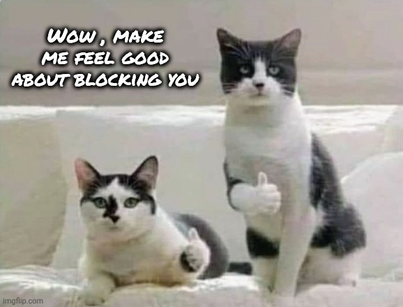Thumbs up Cats | Wow , make me feel good about blocking you | image tagged in thumbs up cats | made w/ Imgflip meme maker
