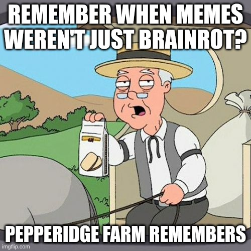 Pepperidge Farm Remembers | REMEMBER WHEN MEMES WEREN'T JUST BRAINROT? PEPPERIDGE FARM REMEMBERS | image tagged in memes,pepperidge farm remembers | made w/ Imgflip meme maker