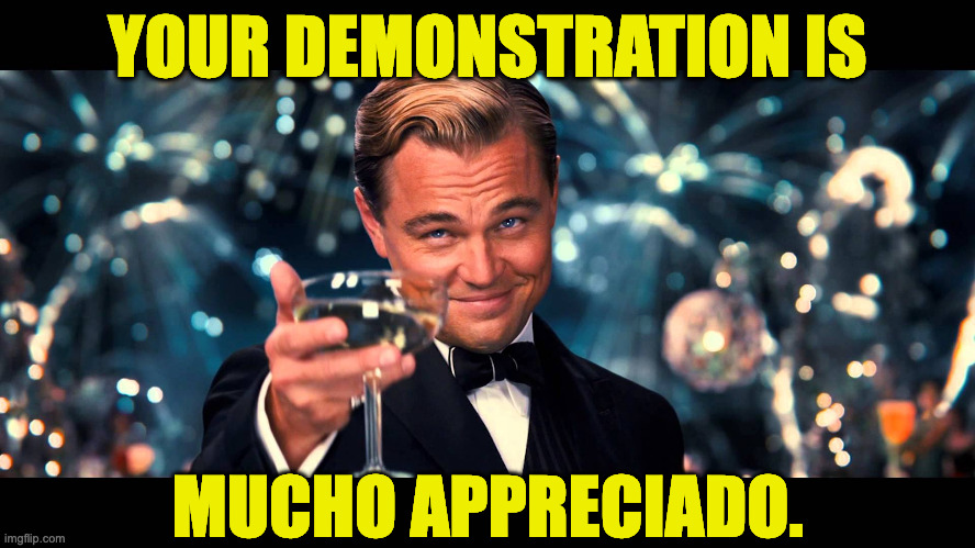 YOUR DEMONSTRATION IS MUCHO APPRECIADO. | image tagged in lionardo dicaprio thank you | made w/ Imgflip meme maker