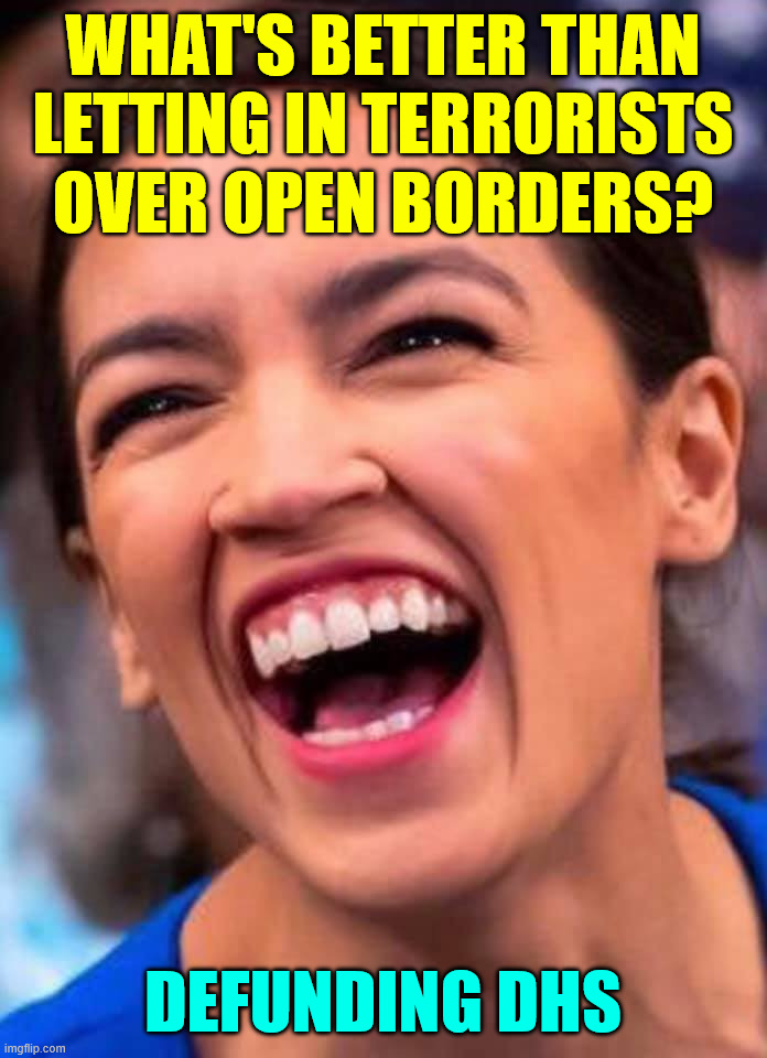 AOC Crazy Town | WHAT'S BETTER THAN LETTING IN TERRORISTS OVER OPEN BORDERS? DEFUNDING DHS | image tagged in aoc crazy town | made w/ Imgflip meme maker