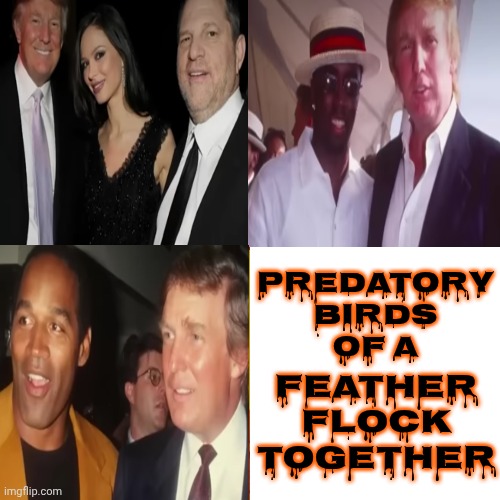 Trump Belongs In Prison | Predatory birds
of a; feather flock together | image tagged in memes,drake hotline bling,impeach trump,lock him up,birds of a feather,scumbag republicans | made w/ Imgflip meme maker