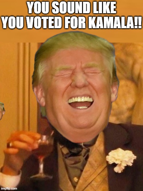 You sound like you voted for Kamala!! | YOU SOUND LIKE YOU VOTED FOR KAMALA!! | image tagged in sam elliott special kind of stupid | made w/ Imgflip meme maker