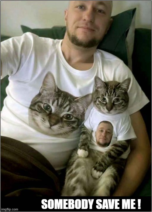 He Was Being To Worry About His Owner Sanity ! | SOMEBODY SAVE ME ! | image tagged in cats,owner,insanity,matching,t shirts | made w/ Imgflip meme maker