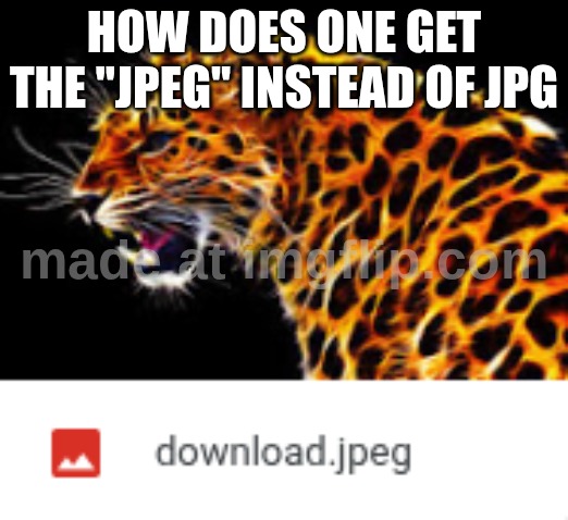 BRO ITS JPG NOT JPEG | HOW DOES ONE GET THE "JPEG" INSTEAD OF JPG | image tagged in tiger,school | made w/ Imgflip meme maker