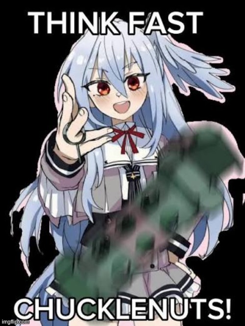 Suzumi think fast chucklenuts | image tagged in suzumi think fast chucklenuts | made w/ Imgflip meme maker