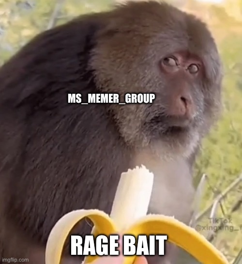 Are you thinking I want that | MS_MEMER_GROUP; RAGE BAIT | image tagged in that look | made w/ Imgflip meme maker