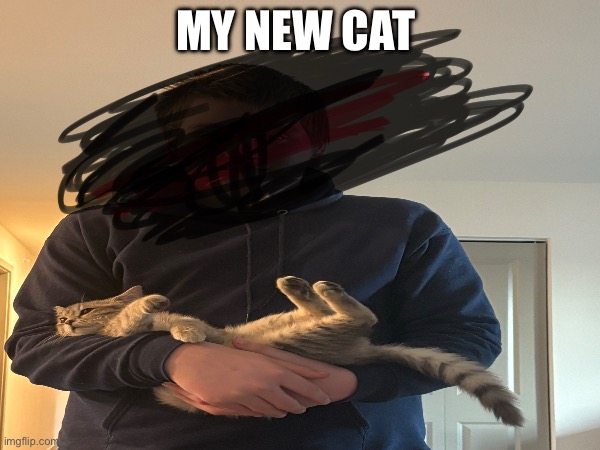 We got her in honor of my other cat that passed away | MY NEW CAT | image tagged in kittens,cute,cats | made w/ Imgflip meme maker