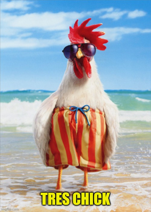 TRES CHICK | image tagged in chicken on vacation | made w/ Imgflip meme maker