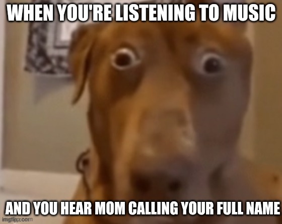 You're cooked if you can hear it through the headphones | WHEN YOU'RE LISTENING TO MUSIC; AND YOU HEAR MOM CALLING YOUR FULL NAME | image tagged in scare doggo,music | made w/ Imgflip meme maker