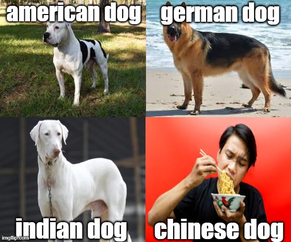 the Chinese...always do things a little differently | american dog; german dog; chinese dog; indian dog | image tagged in dark humor,china,america,india,germany,eating | made w/ Imgflip meme maker