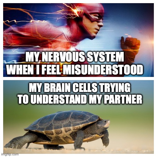 Nervous system vs braincells in relationship | MY NERVOUS SYSTEM WHEN I FEEL MISUNDERSTOOD; MY BRAIN CELLS TRYING TO UNDERSTAND MY PARTNER | image tagged in fast vs slow | made w/ Imgflip meme maker