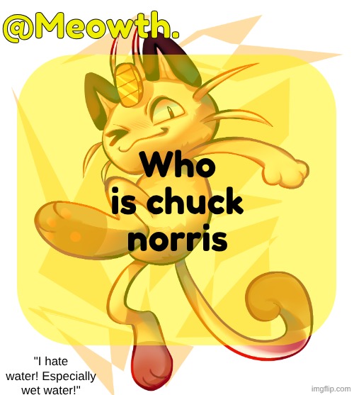 do i still live under a rock | Who is chuck norris | image tagged in meowth | made w/ Imgflip meme maker