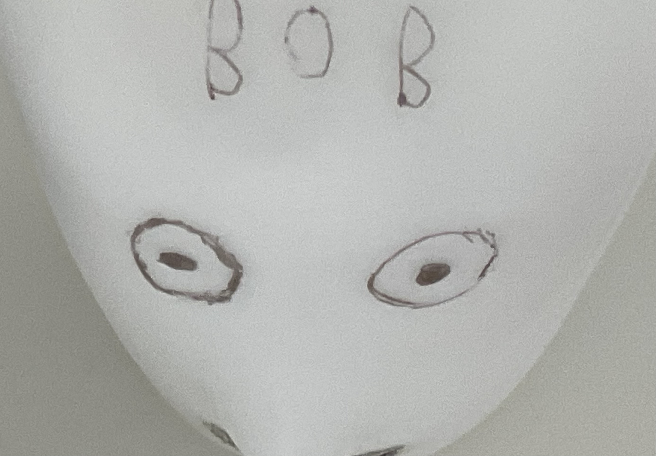 BOB Blank Meme Template