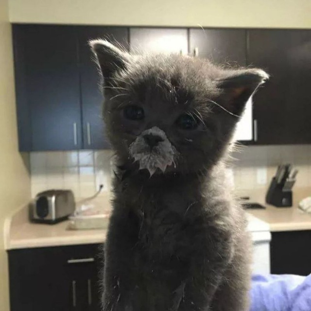 I Frowed up Blank Meme Template