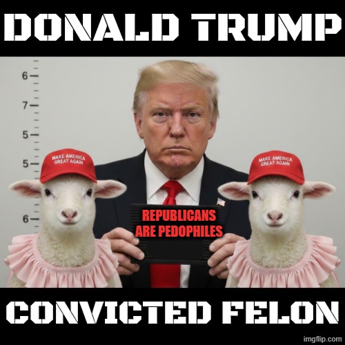 MAKE AMERICA GREAT AGAIN | DONALD TRUMP CONVICTED FELON REPUBLICANS ARE PEDOPHILES | image tagged in make america great again,donald trump,epstein,crime,republican,memes | made w/ Imgflip meme maker