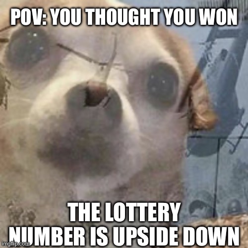Well | POV: YOU THOUGHT YOU WON; THE LOTTERY NUMBER IS UPSIDE DOWN | image tagged in vietnam dog flashbacks | made w/ Imgflip meme maker