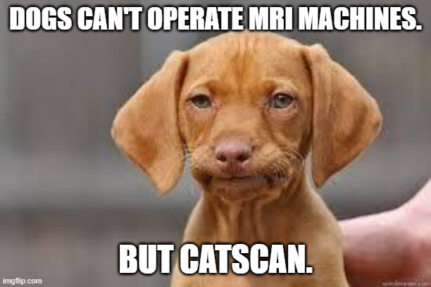 Daily Bad Dad Joke March 20, 2026 | DOGS CAN'T OPERATE MRI MACHINES. BUT CATSCAN. | image tagged in disappointed dog | made w/ Imgflip meme maker