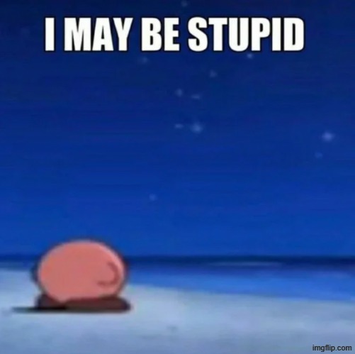i may be stupid | image tagged in i may be stupid | made w/ Imgflip meme maker