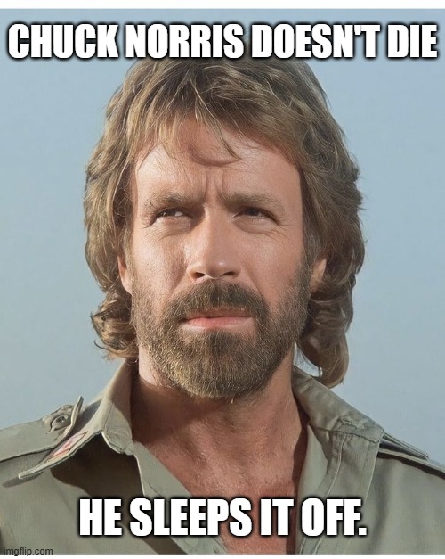 chuck norris forever | CHUCK NORRIS DOESN'T DIE; HE SLEEPS IT OFF. | image tagged in funny | made w/ Imgflip meme maker