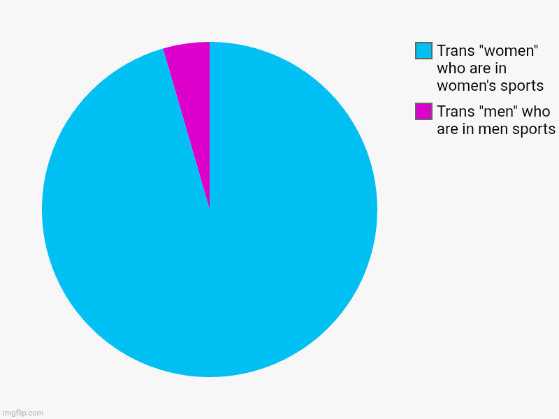 Being transgender is a mockery to men and women... | Trans "men" who are in men sports, Trans "women" who are in women's sports | image tagged in charts,pie charts,trans,transgender,womens sports,sports | made w/ Imgflip chart maker