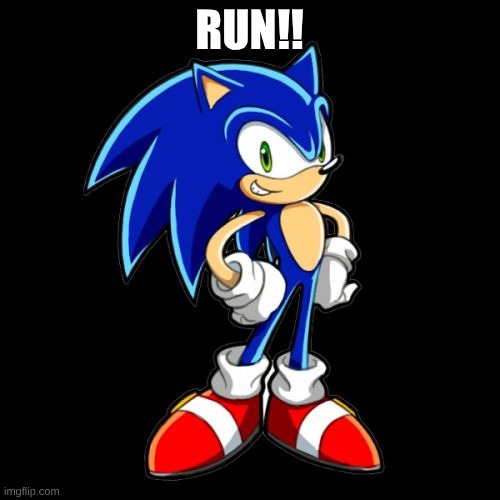 You're Too Slow Sonic Meme | RUN!! | image tagged in memes,you're too slow sonic | made w/ Imgflip meme maker