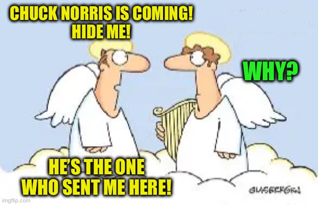 Hey look! A Chuck Norris meme! | CHUCK NORRIS IS COMING!
HIDE ME! WHY? HE’S THE ONE WHO SENT ME HERE! | image tagged in memes,chuck norris,death | made w/ Imgflip meme maker