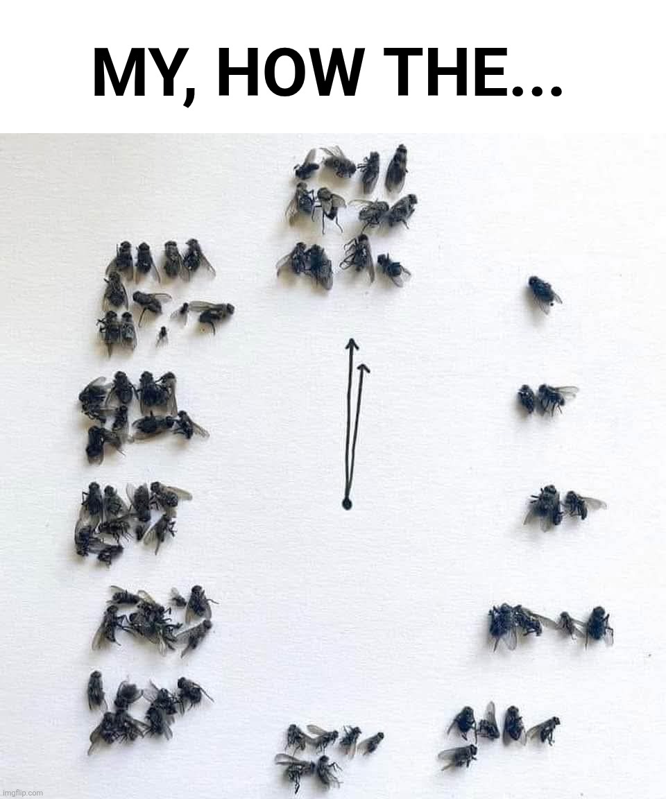 MY, HOW THE... | image tagged in time,flies,funny,clocks | made w/ Imgflip meme maker
