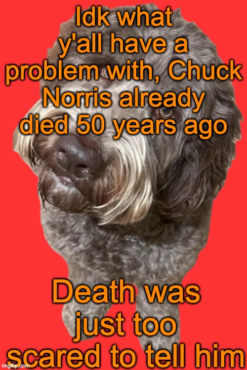 Northers Dog (Transparent) | Idk what y'all have a problem with, Chuck Norris already died 50 years ago; Death was just too scared to tell him | image tagged in northers dog transparent | made w/ Imgflip meme maker